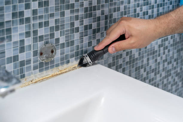 Best Black Mold Removal  in Aquebogue, NY