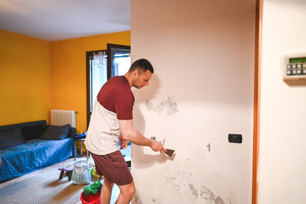 Best Certified Mold Removal  in Aquebogue, NY